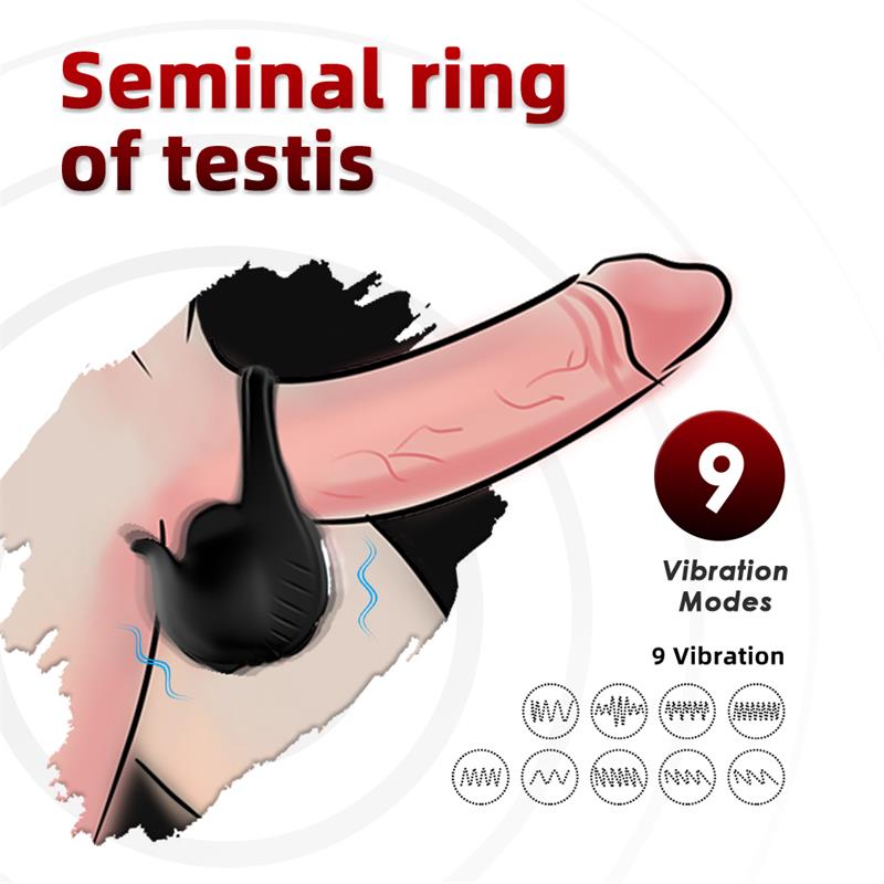 Anillo Vibrador para Pene y Testículos 7