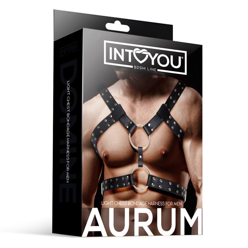 Aurum Arnés Masculino para Bondage Cuero Vegano 4