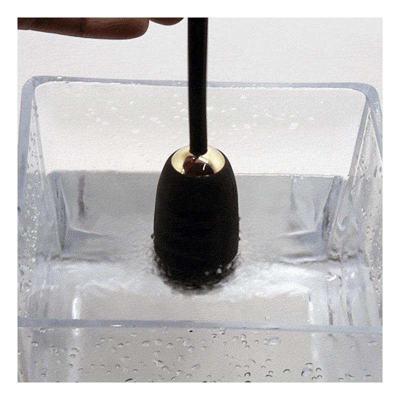 Bola Kegel con Control Remoto Royal Pleasure 6