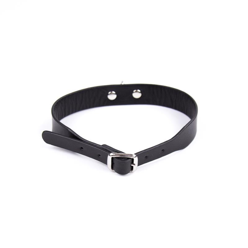 Collar Ajustable 43 cm Negro 2