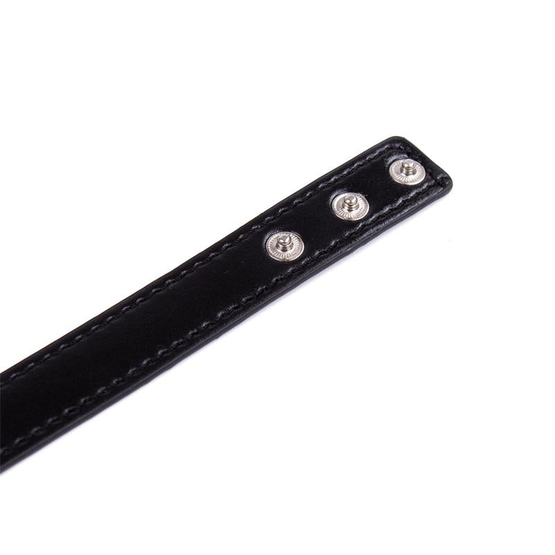 Collar con Aro Ajustable 38,2 cm Negro 5