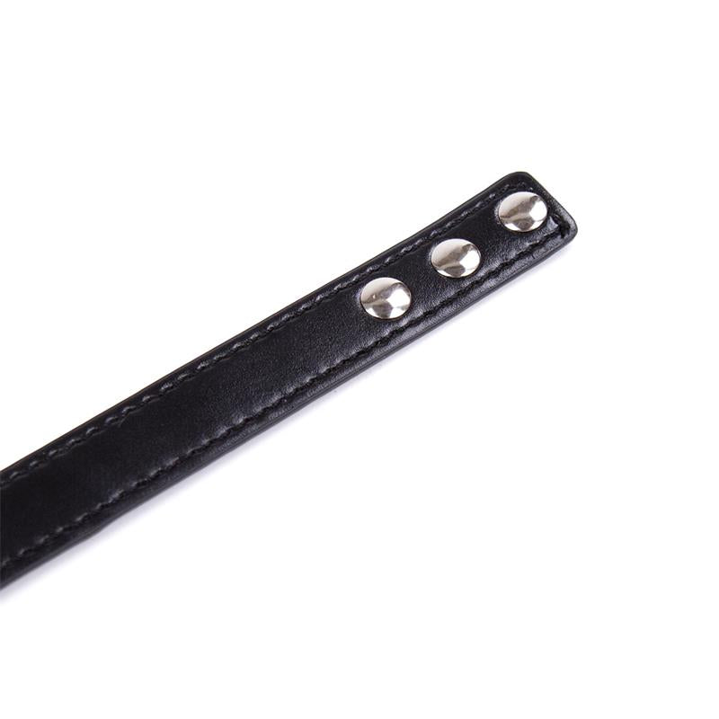 Collar con Aro Ajustable 38,2 cm Negro 4