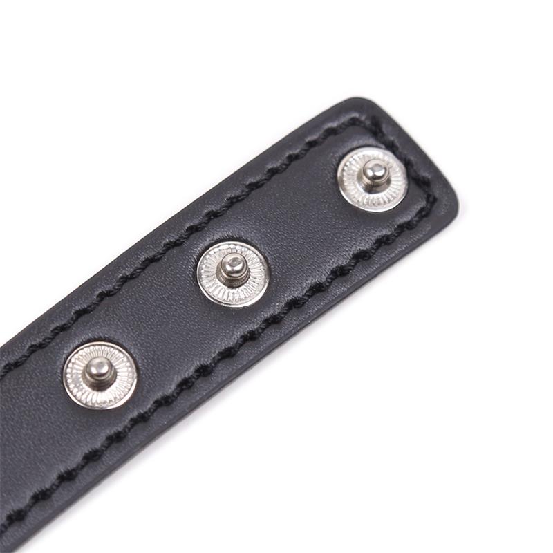 Collar con Aro en Forma de Corazón Ajustable 41,5 cm Negro 7
