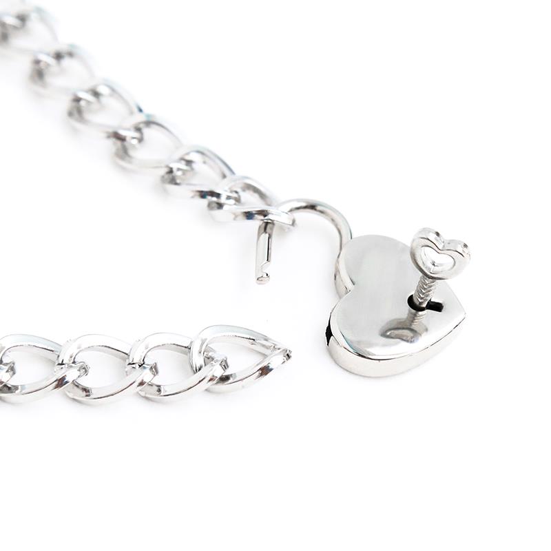 Collar con Candado Metal Talla M 44 cm 5