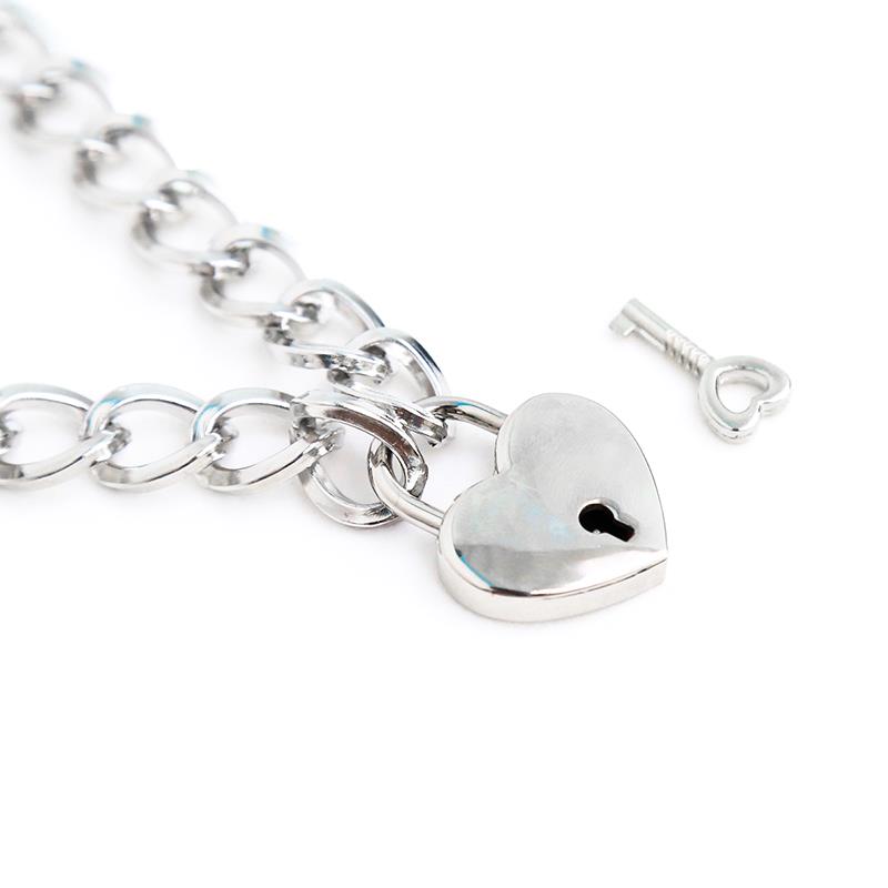 Collar con Candado Metal Talla M 44 cm 2