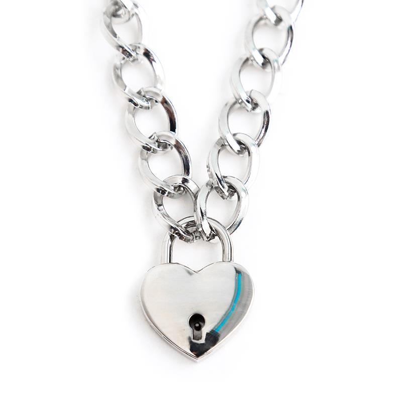 Collar con Candado Metal Talla M 44 cm 3