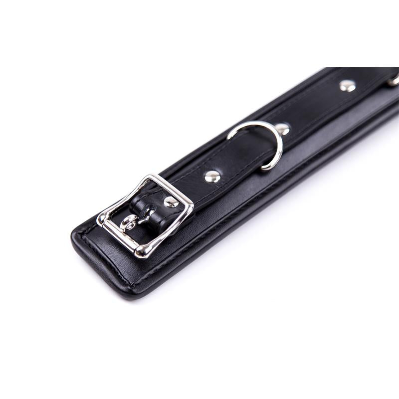 Collar con Correa de Metal e Interior Acolchado Negro 6