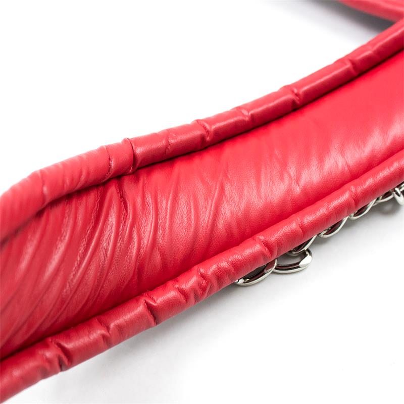 Collar con Correa de Metal e Interior Acolchado Negro/Rojo 4