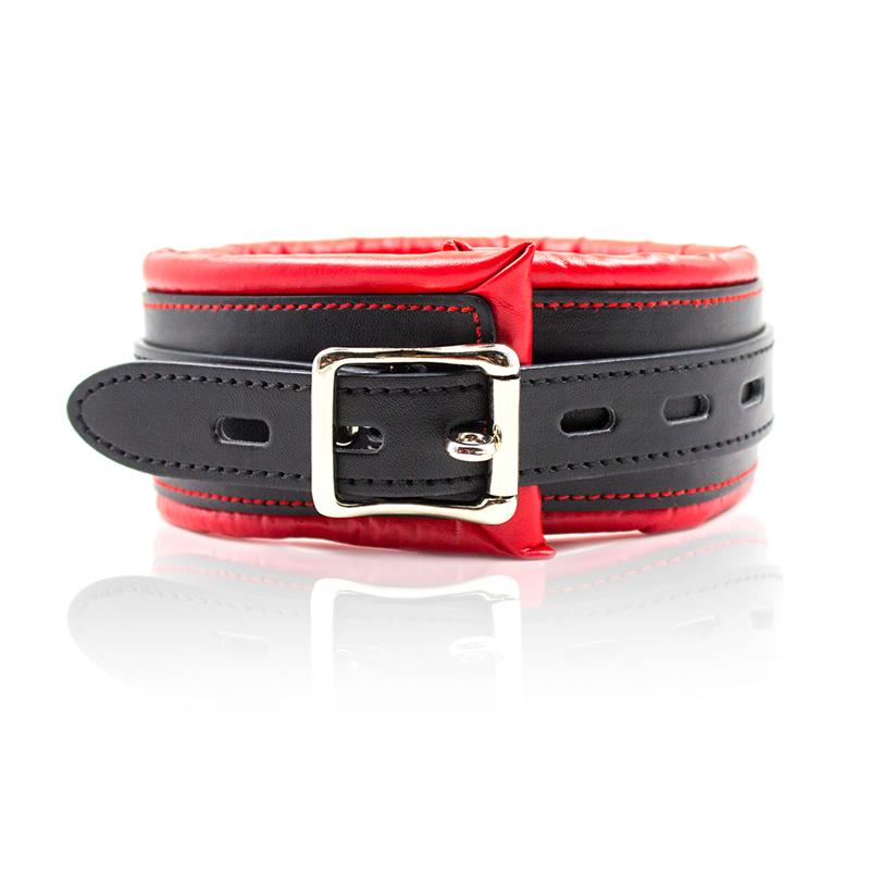 Collar con Correa de Metal e Interior Acolchado Negro/Rojo 3