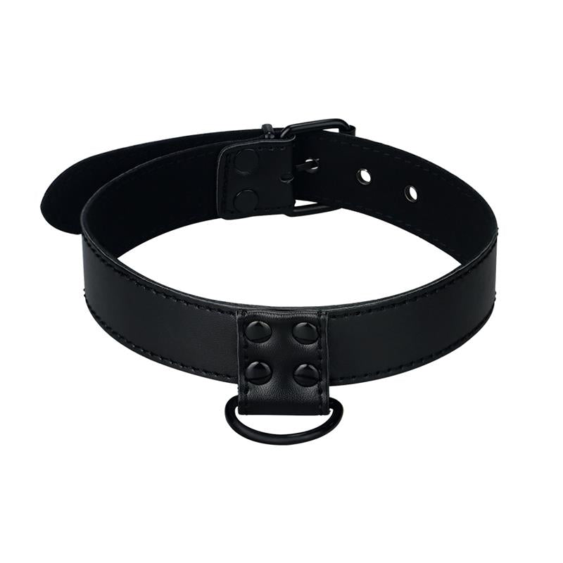 Collar con Correa Negro Mate 2