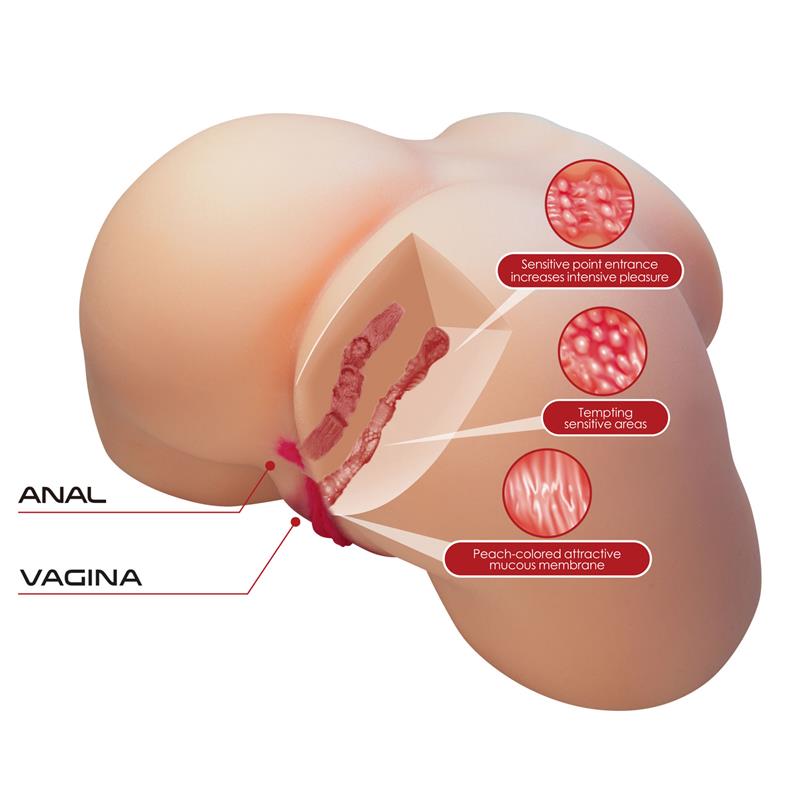 Masturbador Ano y Vagina 5.4 kg