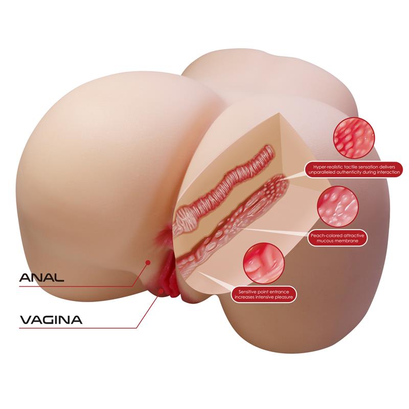 Masturbador Vagina y Ano 11kg