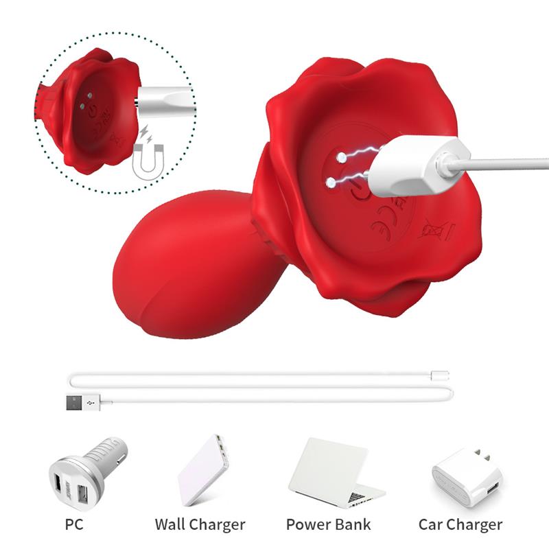Plug Anal con Vibración Base de Rosa 10