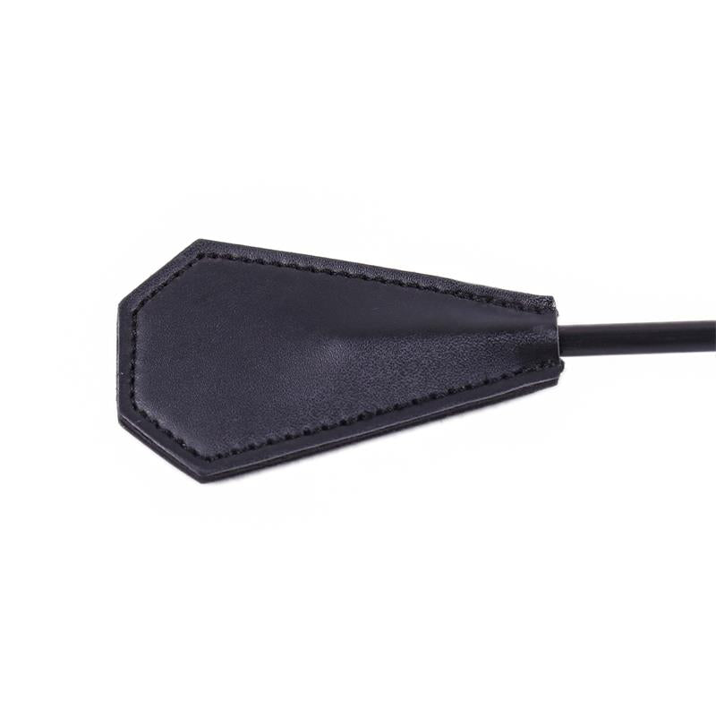 Plumero y Pala 2 en 1 29 cm Negro 5