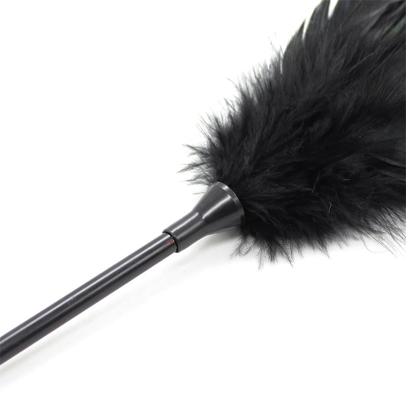 Plumero y Pala 2 en 1 48 cm Negro 2