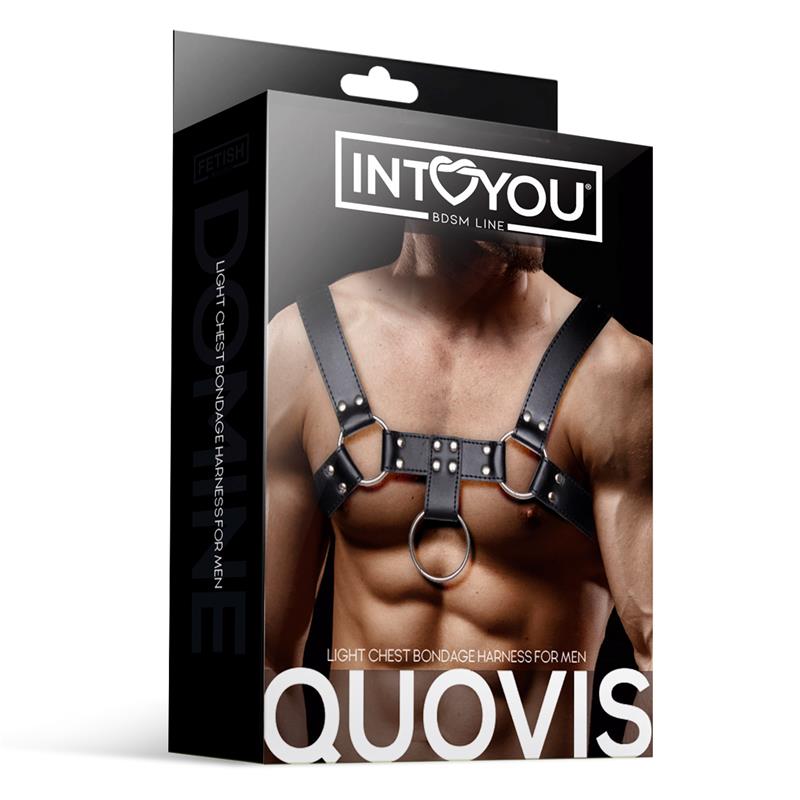 Quovis Arnés Masculino para Bondage Cuero Vegano 4