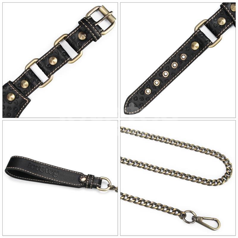 Rebellion Reign Collar con Cadena 9