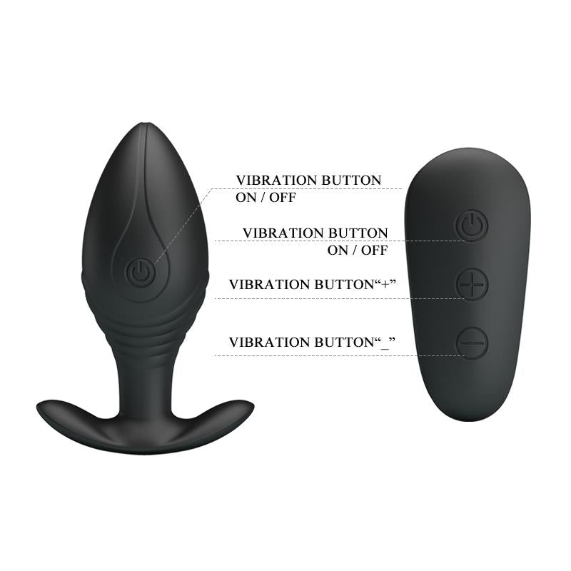Regina Royal Plug Anal con Control Remoto USB 7