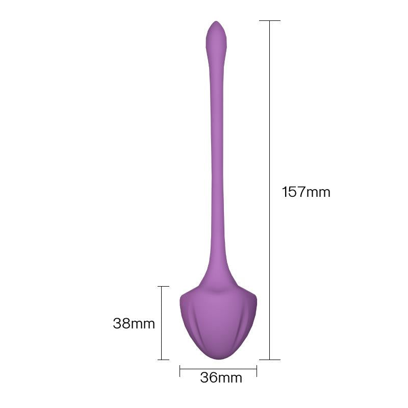Set 5 Bolas Kegel 10