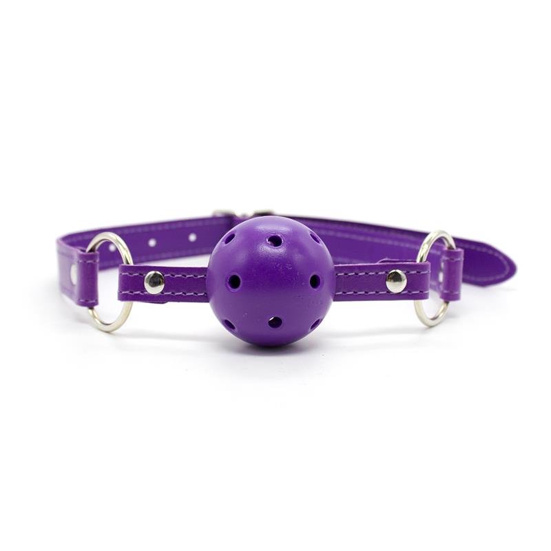 Set Bondage de 10 Piezas Púrpura 11