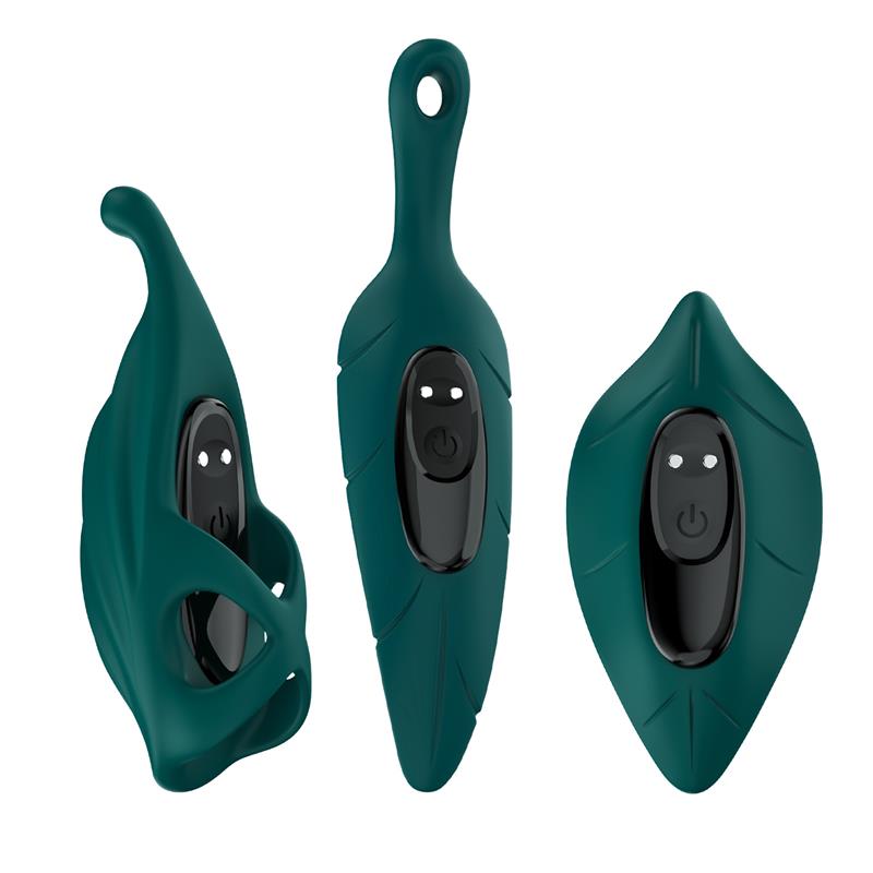 Set de Vibrador y Fundas 2