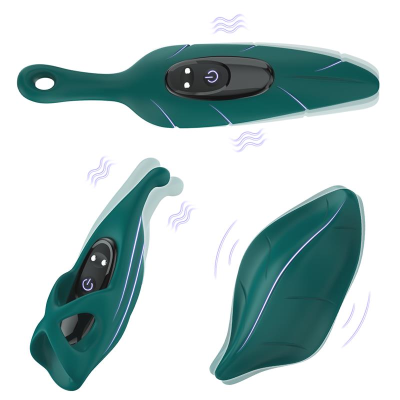 Set de Vibrador y Fundas 4
