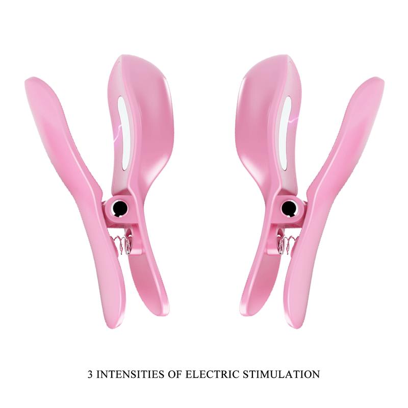 Surprise Box Huevo Vibrador y Pinzas para Pezones con Electro Estimulación Rosa 2