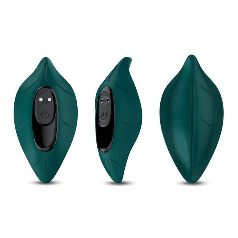 Vibrador de Braguita 7