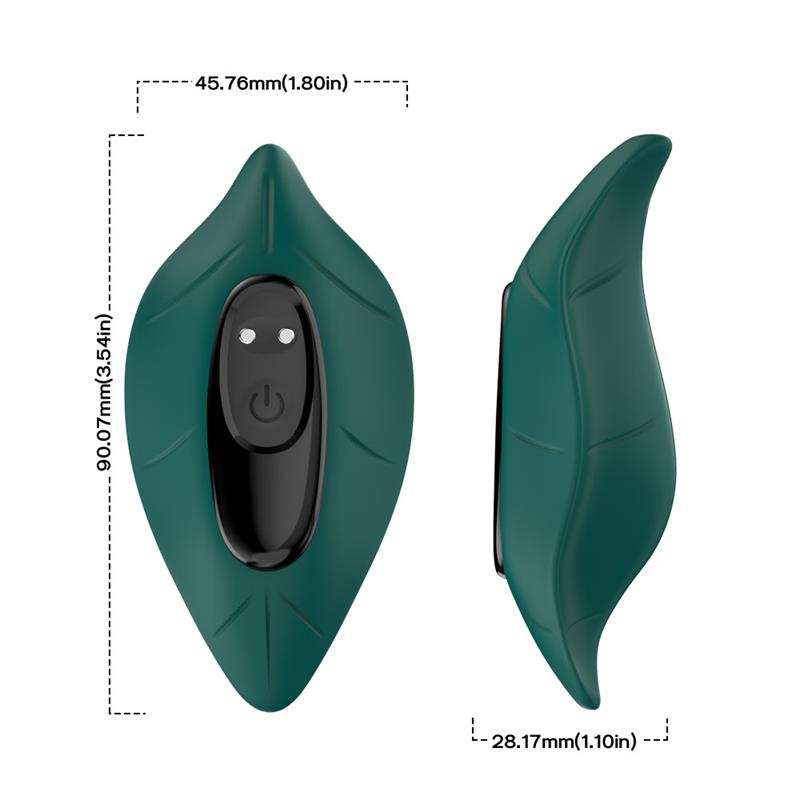 Vibrador de Braguita 11