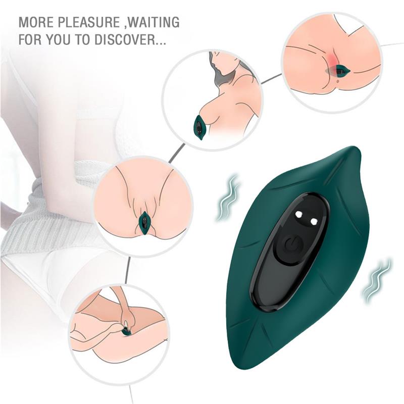 Vibrador de Braguita 6