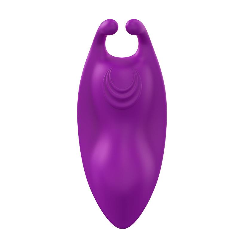Vibrador de Braguita 9