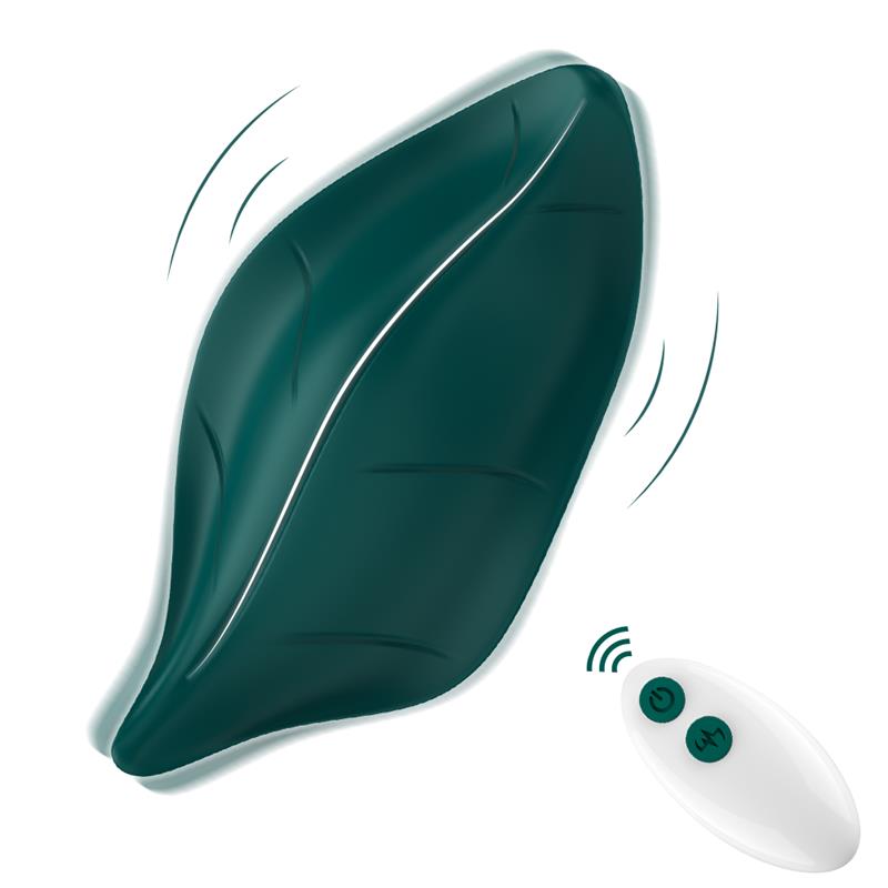 Vibrador de Braguita 5