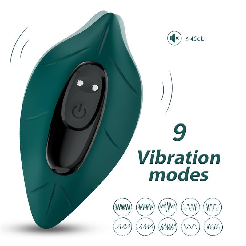 Vibrador de Braguita 3
