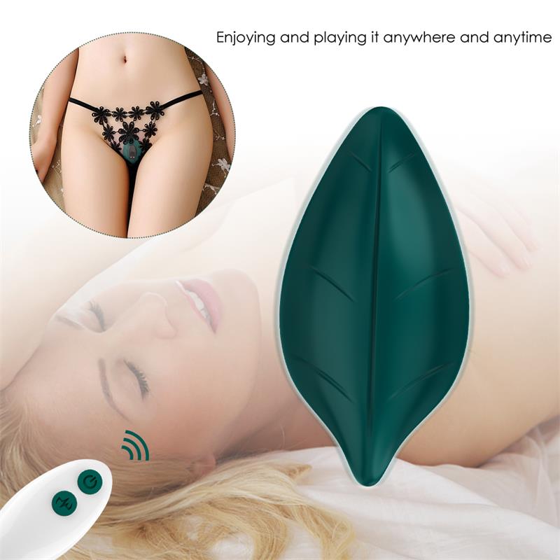 Vibrador de Braguita 8