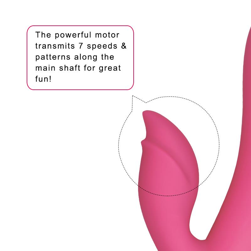 Vibrador Dreamer II USB Rose Red 6
